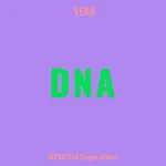YENA - DNA (JAPAN 2nd Single Album) [Limited Edition] - Image 4