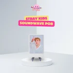 Stray Kids – Limited Instant Photocard (Perfect Day with SKZ Soundwave POB)