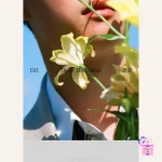 D.O. (EXO) - Empathy (Solo Mini Album) - Image 2