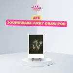 Stray Kids - Limited Instant Photocard (ATE SoundWave Lucky Draw POB)