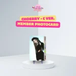 ARTMS - Member Photocard (Dall OMA Ver1) - Image 13