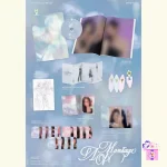 VIVIZ - A Montage of ( ) [1st Full Album] - Image 2