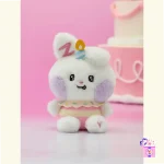 ZB1 - Limited Mini Plush [HOME PARTY Official MD] - Image 30