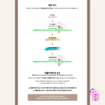 ATEEZ - Official Light Stick Ver.2 (LIGHTINY) + Photocard - Image 7