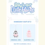 Stray Kids - SKZOO Secret Plush Micro [6th Fanmeeting STAY in Our Little House] - Image 2