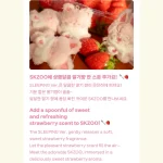 Stray Kids - SKZOO Secret Plush Micro [6th Fanmeeting STAY in Our Little House] - Image 5